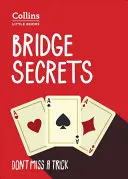 Secretos del puente - Bridge Secrets