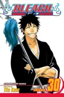 Bleach, Vol. 30, 30