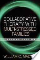 Terapia colaborativa con familias multiestresadas - Collaborative Therapy with Multi-Stressed Families
