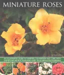 Rosas en miniatura - Miniature Roses