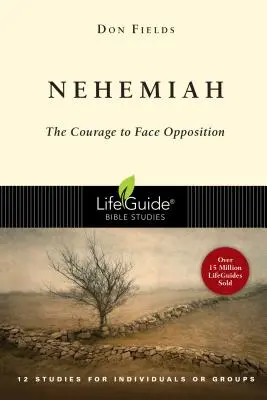 Nehemías: Coraje frente a la oposición - Nehemiah: Courage in the Face of Opposition