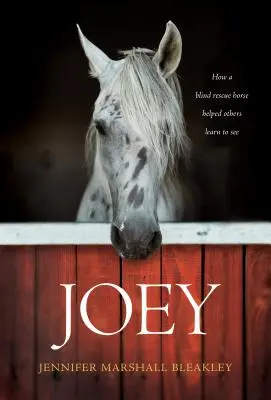 Joey: Cómo un caballo ciego rescatado ayudó a otros a aprender a ver - Joey: How a Blind Rescue Horse Helped Others Learn to See