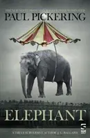 Elefante - Elephant