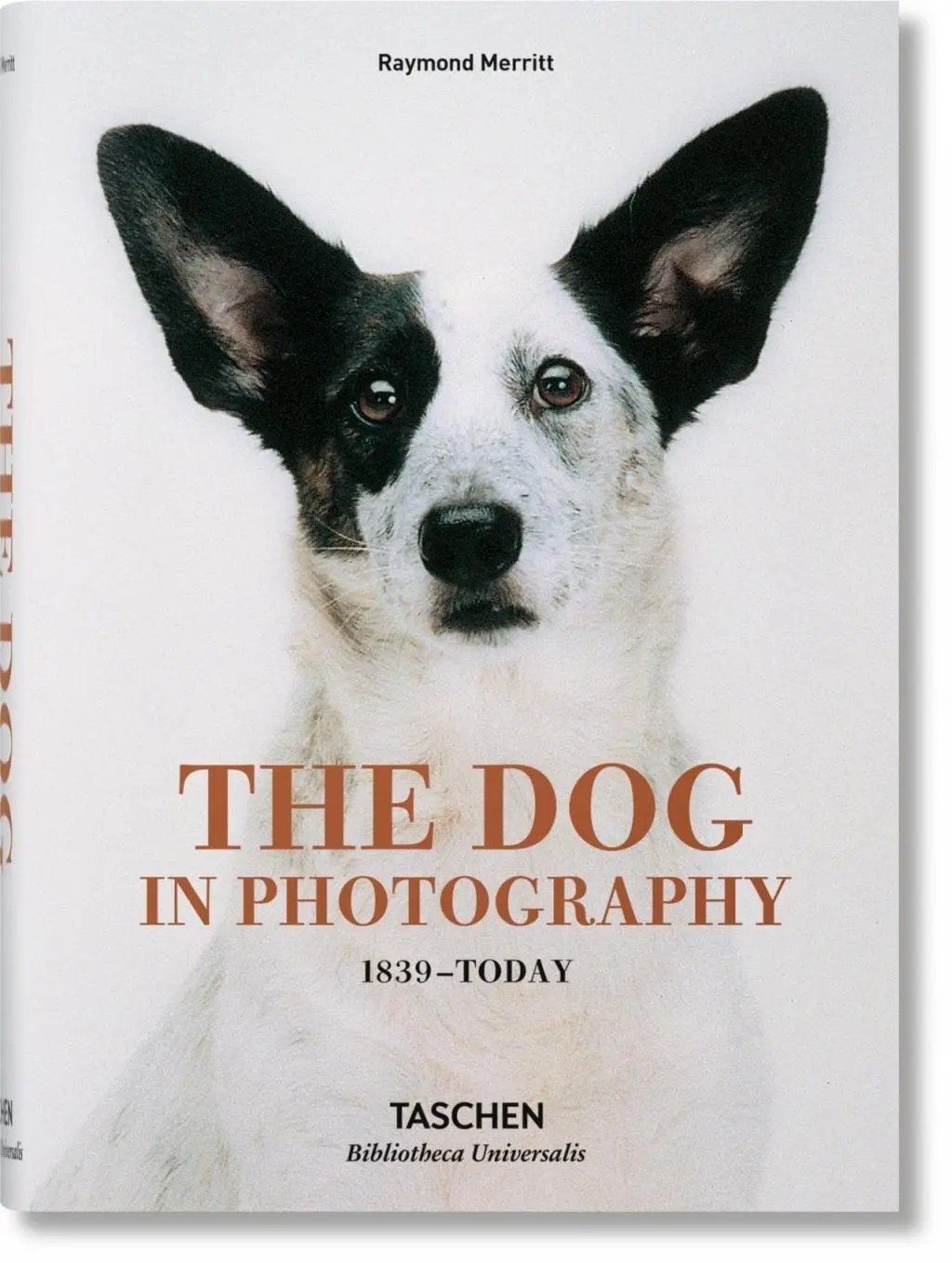 El perro en la fotografía 1839-Hoy - The Dog in Photography 1839-Today