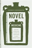 Medicina de novela: Curación, literatura y saber popular en la China moderna temprana - Novel Medicine: Healing, Literature, and Popular Knowledge in Early Modern China