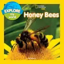 Explora mi mundo: Abejas de la miel - Explore My World: Honey Bees