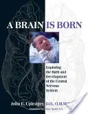 Nace un cerebro: Exploración del nacimiento y desarrollo del sistema nervioso central - A Brain Is Born: Exploring the Birth and Development of the Central Nervous System