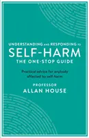 Comprender y responder a las autolesiones: la guía única: Consejos prácticos para cualquier persona afectada por autolesiones - Understanding and Responding to Self-Harm: The One Stop Guide: Practical Advice for Anybody Affected by Self-Harm