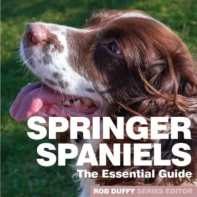 Springer Spaniels: La Guía Esencial - Springer Spaniels: The Essential Guide