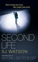 Segunda vida - Second Life