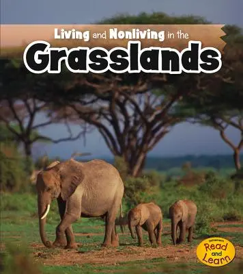 Vivir y no vivir en las praderas - Living and Nonliving in the Grasslands