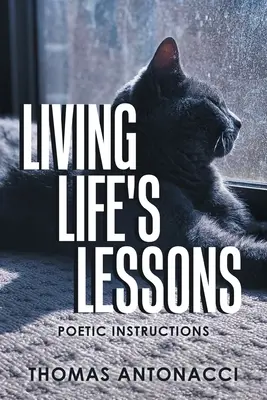 Vivir las lecciones de la vida: Instrucciones poéticas - Living Life's Lessons: Poetic Instructions