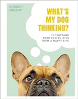 ¿Qué piensa mi perro? - Comprenda a su perro para darle una vida feliz - What's My Dog Thinking? - Understand Your Dog to Give Them a Happy Life