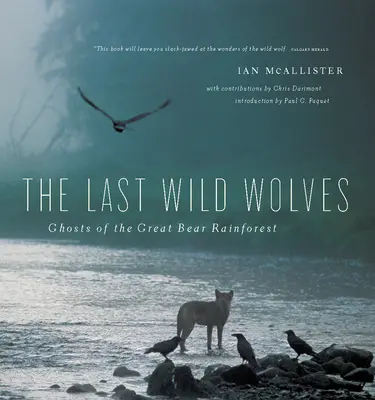 Los últimos lobos salvajes: Fantasmas de la selva tropical - The Last Wild Wolves: Ghosts of the Rain Forest