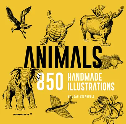 Animales: 850 ilustraciones hechas a mano - Animals: 850 Handmade Illustrations