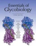 Fundamentos de glicobiología, tercera edición - Essentials of Glycobiology, Third Edition