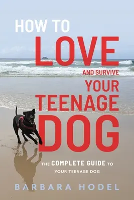 Cómo amar y sobrevivir a tu perro adolescente - How to Love and Survive Your Teenage Dog