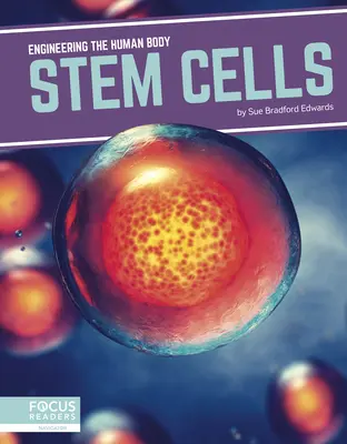 Células madre - Stem Cells