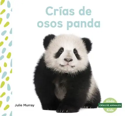 Cras de Osos Panda (Panda Cubs)