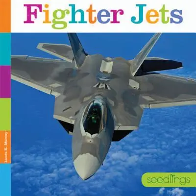 Aviones de combate - Fighter Jets