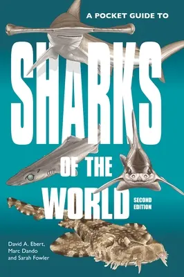 Guía de bolsillo de los tiburones del mundo: Segunda edición - A Pocket Guide to Sharks of the World: Second Edition