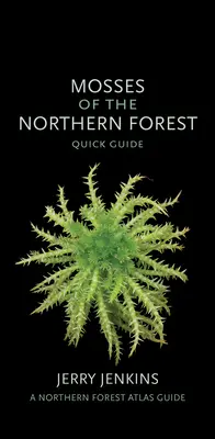 Musgos del Bosque Septentrional: Guía rápida - Mosses of the Northern Forest: Quick Guide