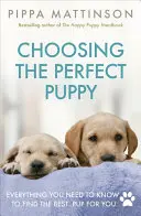 Cómo elegir el cachorro perfecto - Choosing the Perfect Puppy