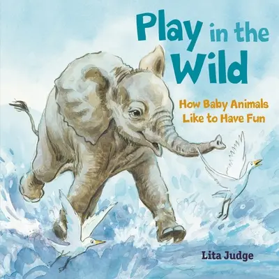 Jugar en la naturaleza: cómo se divierten las crías de animales - Play in the Wild: How Baby Animals Like to Have Fun