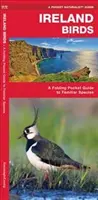 Aves de Irlanda, 2ª edición - Guía plegable de bolsillo de especies conocidas - Ireland Birds, 2nd Edition - A Folding Pocket Guide to Familiar Species