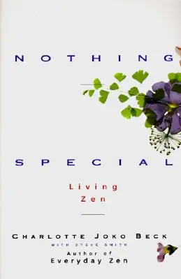Nada especial - Nothing Special