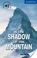 A la sombra de la montaña Nivel 5 - In the Shadow of the Mountain Level 5
