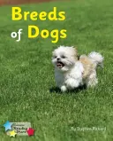 Razas de perros - Phonics Fase 4 - Breeds of Dogs - Phonics Phase 4