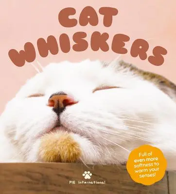 Bigotes de gato - Cat Whiskers