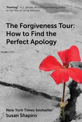 El tour del perdón: Cómo encontrar la disculpa perfecta - The Forgiveness Tour: How to Find the Perfect Apology