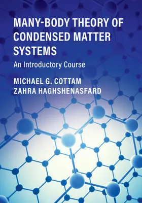 Teoría de muchos cuerpos de los sistemas de materia condensada: An Introductory Course - Many-Body Theory of Condensed Matter Systems: An Introductory Course