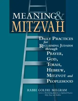 Meaning & Mitzvah: Prácticas diarias para recuperar el judaísmo a través de la oración, Dios, la Torá, el hebreo, las mitzvot y el pueblo - Meaning & Mitzvah: Daily Practices for Reclaiming Judaism Through Prayer, God, Torah, Hebrew, Mitzvot and Peoplehood