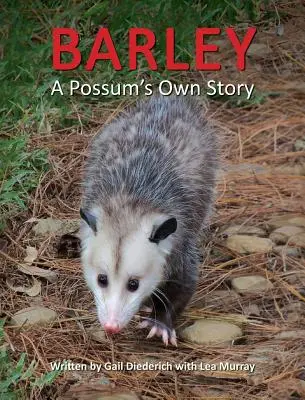 Cebada, la historia de una zarigüeya - Barley, a Possum's Own Story