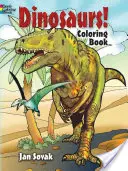 Dinosaurios Libro para colorear - Dinosaurs! Coloring Book