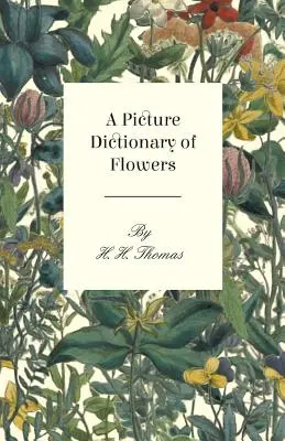 Diccionario ilustrado de las flores - A Picture Dictionary of Flowers