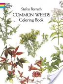 Libro para colorear de hierbas comunes - Common Weeds Coloring Book