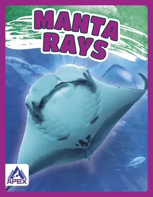 Manta raya - Manta Rays