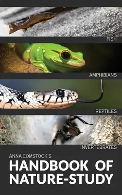 El manual de estudio de la naturaleza en color - Peces, reptiles, anfibios, invertebrados - The Handbook Of Nature Study in Color - Fish, Reptiles, Amphibians, Invertebrates