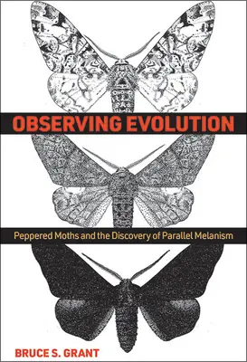 Observando la evolución: La polilla pimienta y el descubrimiento del melanismo paralelo - Observing Evolution: Peppered Moths and the Discovery of Parallel Melanism