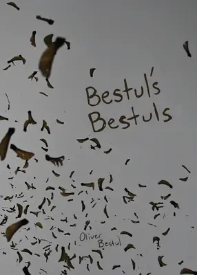 Bestuls de Bestul - Bestul's Bestuls