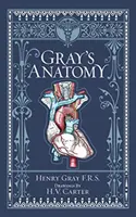 Anatomía de Gray (Barnes & Noble Collectible Classics: Omnibus Edition) - Gray's Anatomy (Barnes & Noble Collectible Classics: Omnibus Edition)