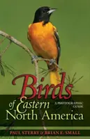 Aves del Este de Norteamérica: Una Guía Fotográfica una Guía Fotográfica - Birds of Eastern North America: A Photographic Guide a Photographic Guide