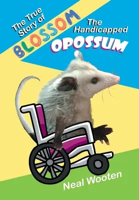 La verdadera historia de Blossom, la zarigüeya discapacitada - The True Story of Blossom the Handicapped Opossum