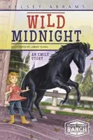 Medianoche salvaje: Una historia de Emily - Wild Midnight: An Emily Story