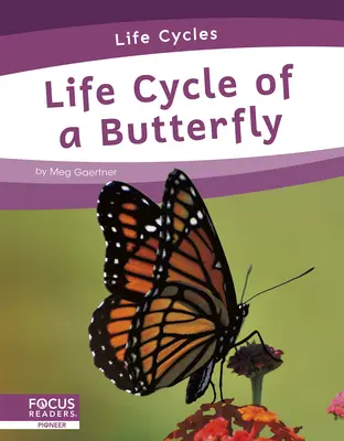 Ciclo vital de una mariposa - Life Cycle of a Butterfly