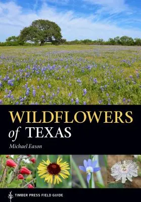 Flores silvestres de Texas - Wildflowers of Texas
